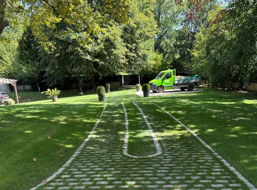 Juste après la tonte